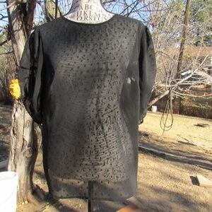 Chelsea28 Black Sheer Blouse